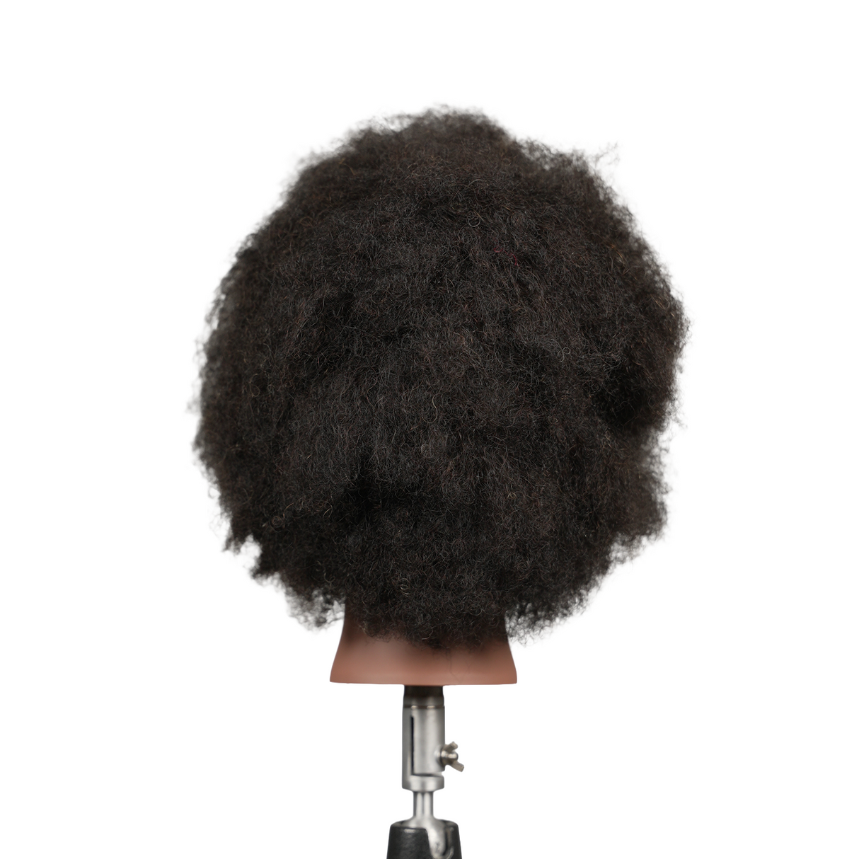 ELV8 Zuri Premium Female Mannequin
