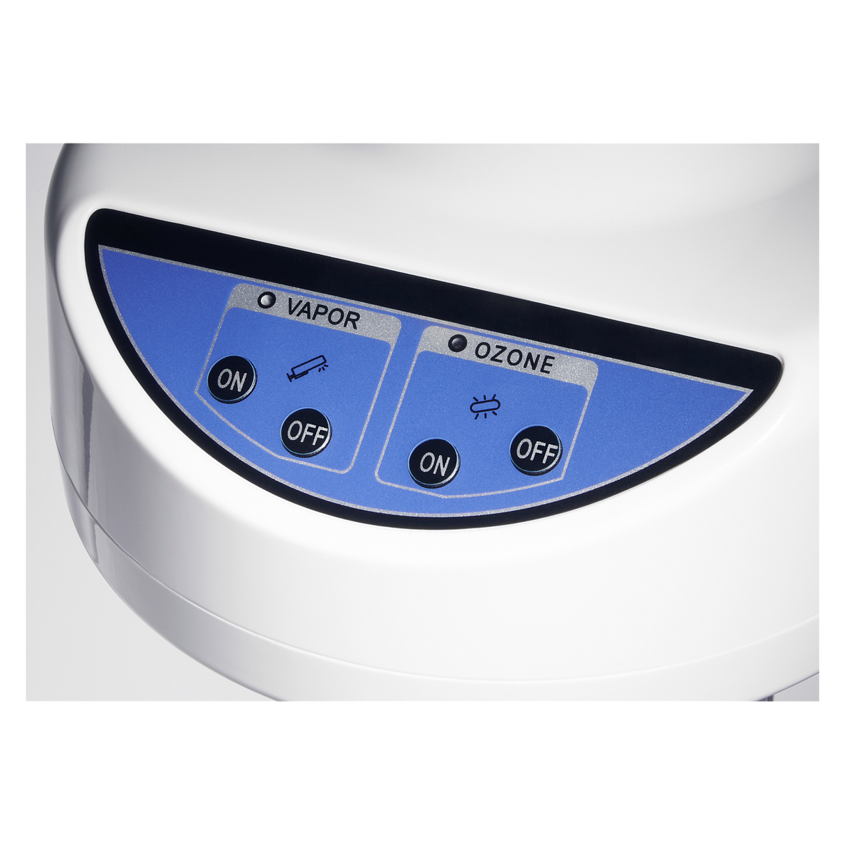 Fantasea Facial Steamer