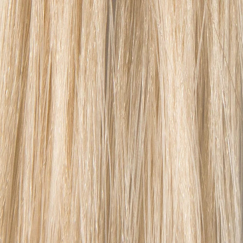 Prorituals Hair Color - Fundamentals - Empire Barber Supply