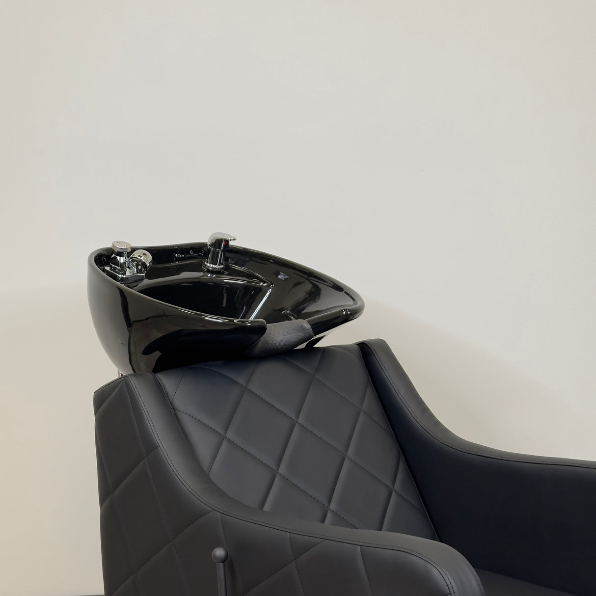 Brooklyn Shampoo Backwash Unit