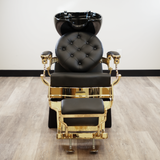 Luxor Shampoo Backwash Unit