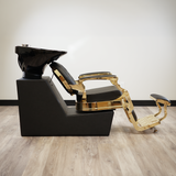 Luxor Shampoo Backwash Unit