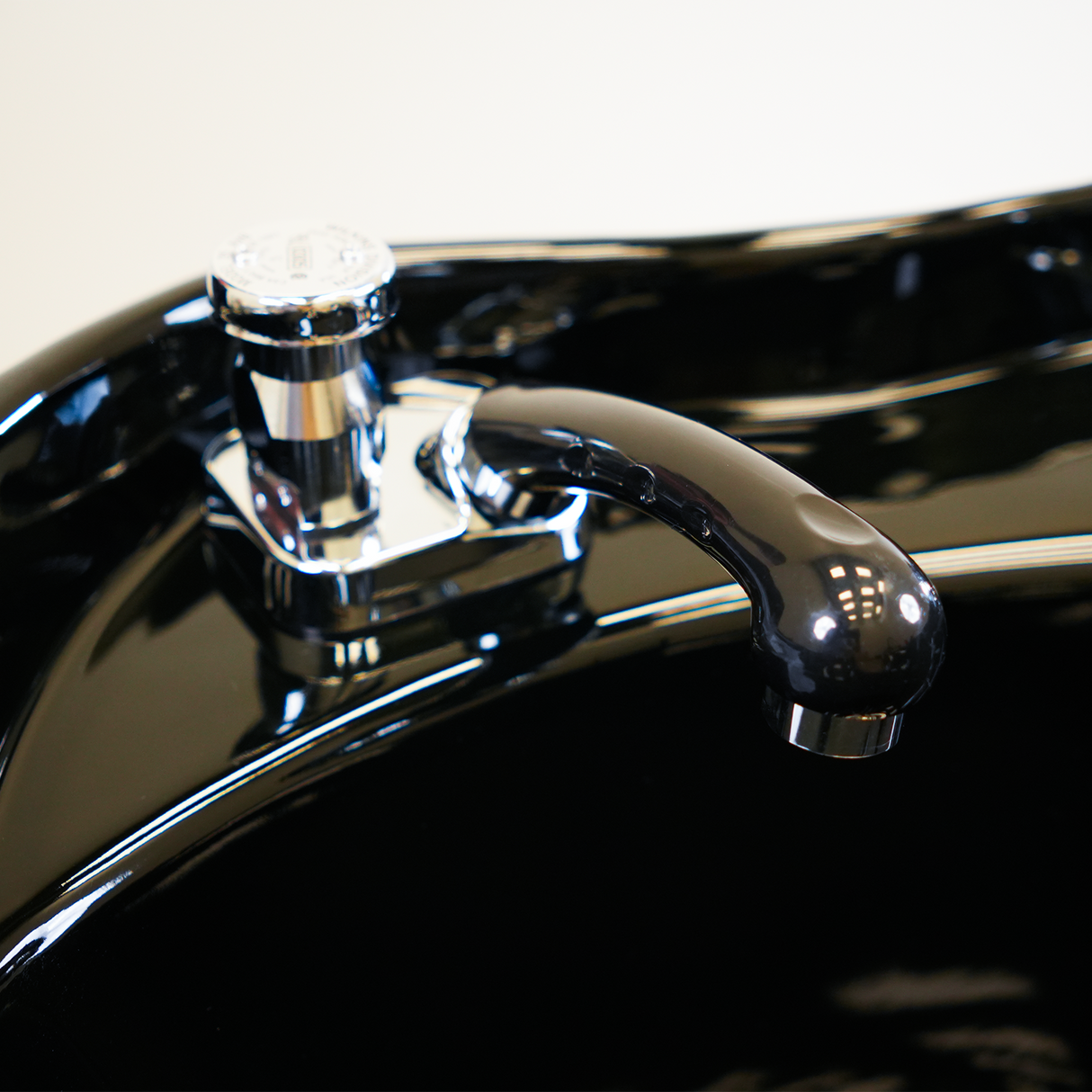 Sultan Shampoo Backwash Unit