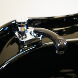 Sultan Shampoo Backwash Unit