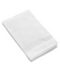 Terry Towels - Hand Towels (16" x 27") - 12 pack